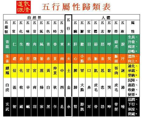 五行強弱|快速瞭解你的五行屬性